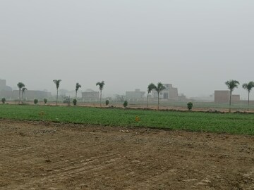 Plot Area in  Plot at Tappal – for Sale