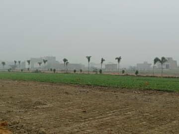 Plot Area in  Plot at Tappal – for Sale