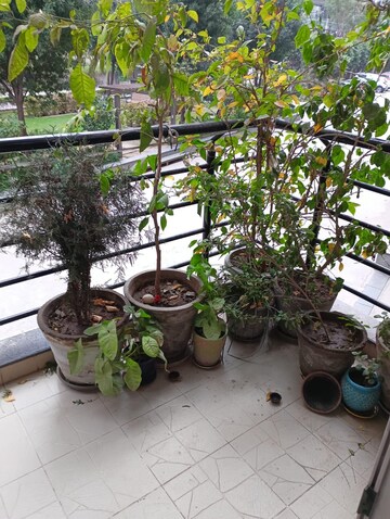 Master Bedroom in 3 BHK Apartment at Dhoot Time Residency, Sector 63 – for Rent