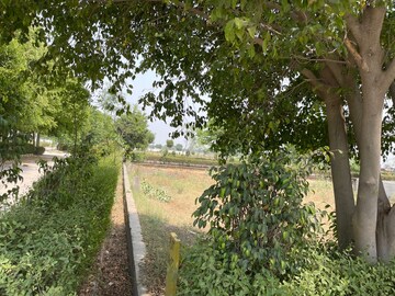  Plot – Garden View at Tappal - for Sale