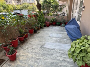 Parking in 3 BHK Builder Floor at SS The Lilac, Sector 49 – for Rent