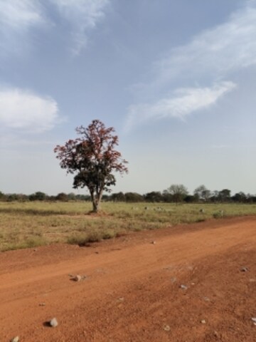  Plot For Sale in Vidhan Sabha Marg