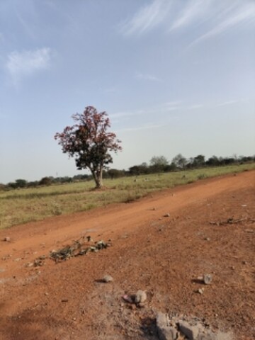 Plot Area in  Plot at Vidhan Sabha Marg – for Sale