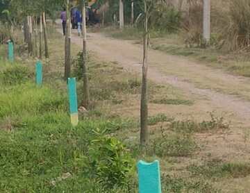 Plot Area in  Plot at Joka – for Sale