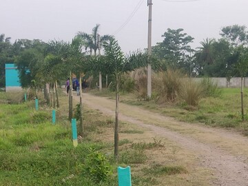 Plot Area in  Plot at Joka – for Sale
