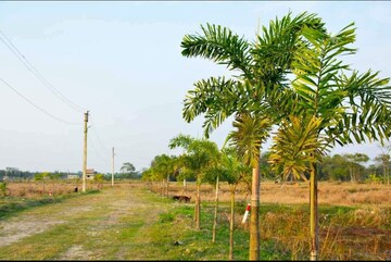  Plot – Garden View at Joka - for Sale
