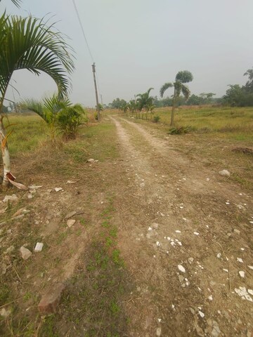 Plot Area in  Plot at Joka – for Sale