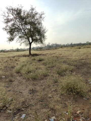 Plot Area in  Plot at Vidhan Sabha Marg – for Sale