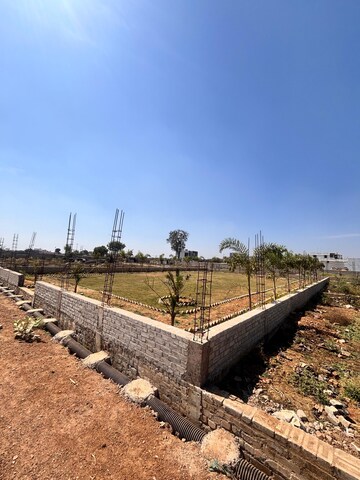 Plot Area in  Plot at Sarkanda – for Sale