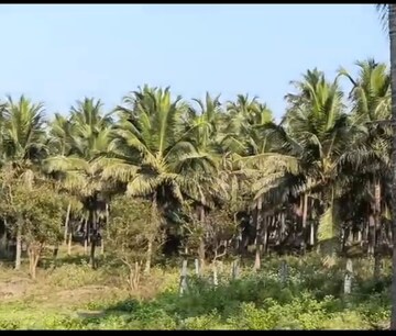Plot Area in  Land at Aliyar – for Sale