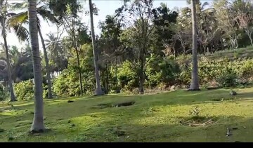  Land – Exterior View View at Aliyar - for Sale