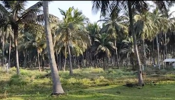 Commercial Land 37 Acre For Resale in Aliyar Pollachi  8290871