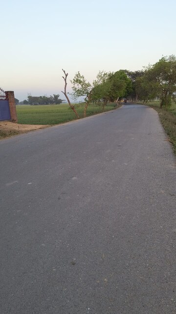  Plot – Exterior View View at Jalalipura - for Sale