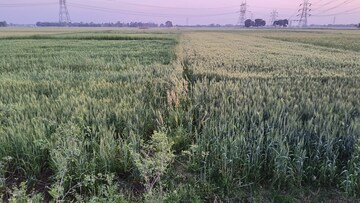  Plot – Exterior View View at Jalalipura - for Sale