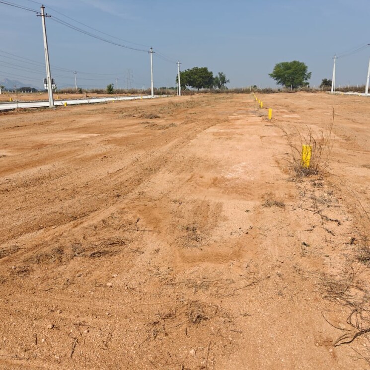 undefined, sri-india-township  165 Sq.Yd. Plot In Amangal Hyderabad 8291030