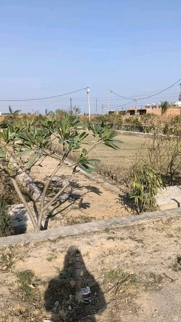 Plot Area in  Plot at Meerut Cantt – for Sale