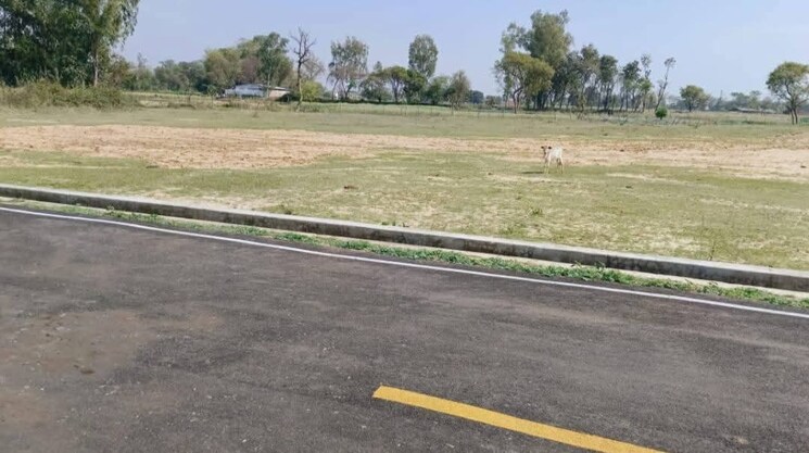undefined, eldeco-austina  130 Sq.Yd. Plot In Omicron I Greater Noida Greater Noida 8291369