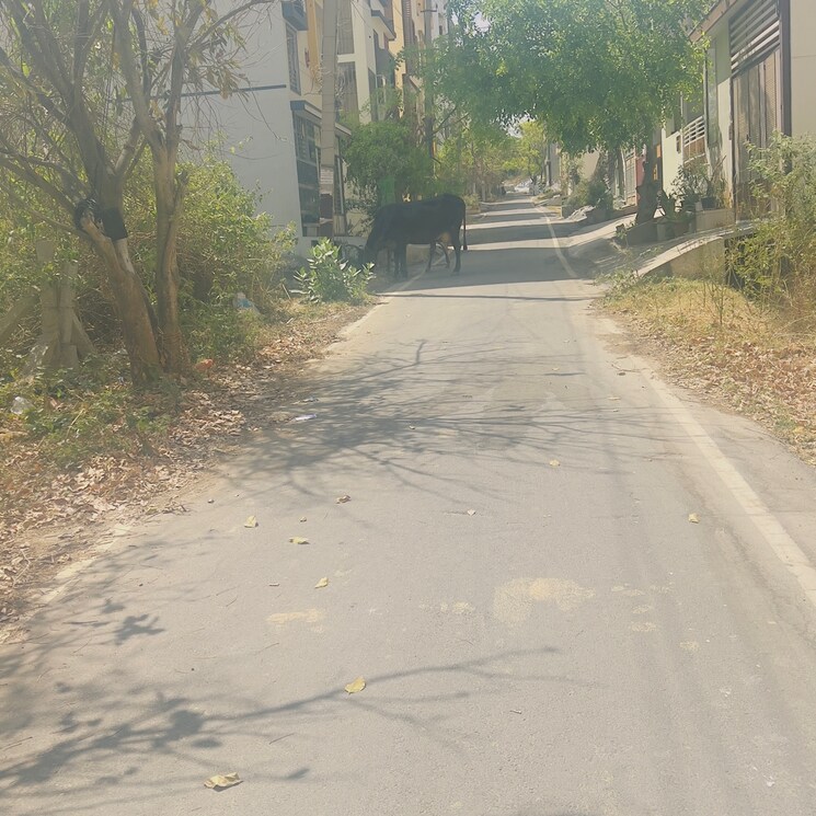  Parking, banashankari 6th stage  600 Sq.Yd. Plot In Banashankari 6th Stage Bangalore 8291441