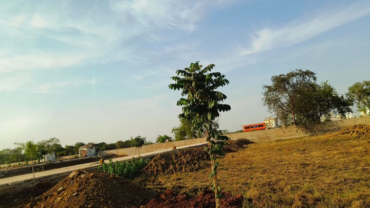 undefined, sejbahar  1049 Sq.Ft. Plot In Sejbahar Raipur 8291643