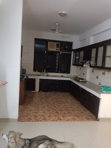 Kitchen in 3.5 BHK Villa at RWA Apartments Sector 50, Sector 50 – for Rent