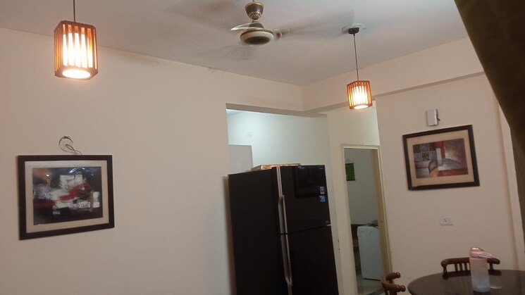 undefined, sector 9 3 Bedroom 250 Sq.Yd. Independent House In Sector 9 Faridabad 8291736