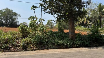 Plot Area in  Land at Paravoor – for Sale