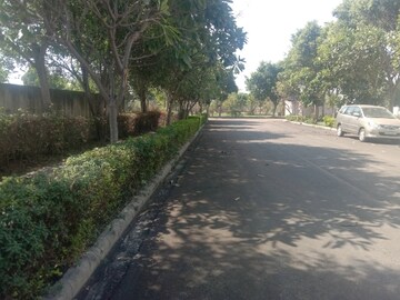  Plot – Garden View at DLF Central Square, New Chandigarh - for Sale