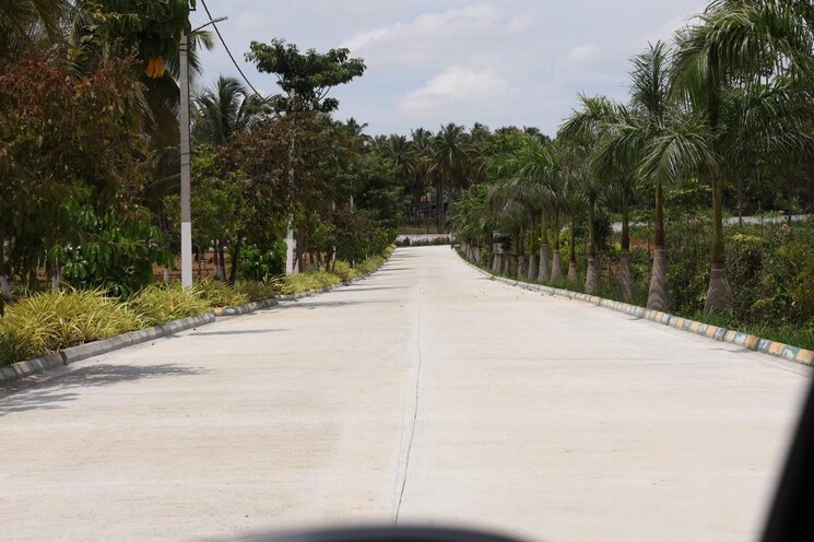 Exterior View, kaggalipura  1200 Sq.Ft. Plot In Kaggalipura Bangalore 8292437