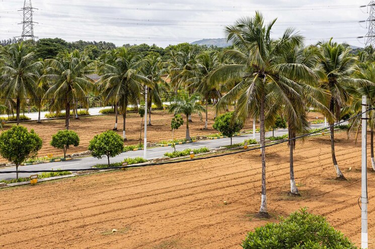 Garden, kaggalipura  1200 Sq.Ft. Plot In Kaggalipura Bangalore 8292454