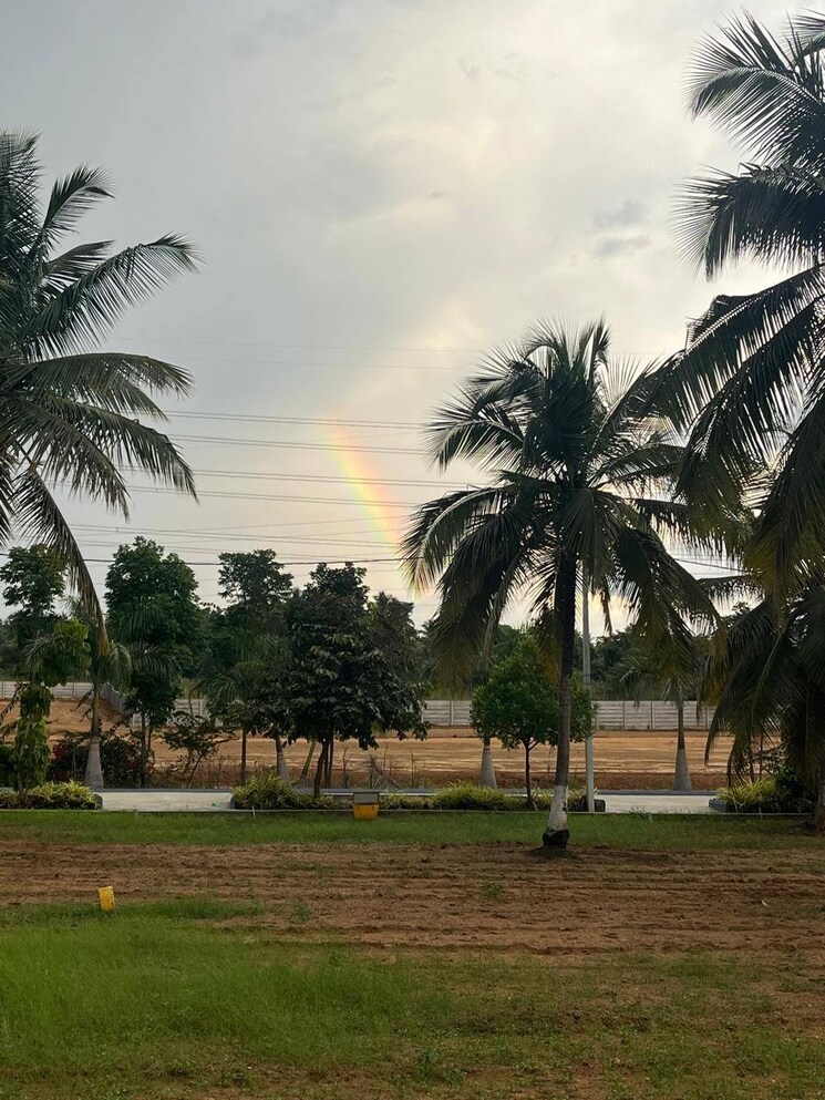 Garden, kaggalipura  1200 Sq.Ft. Plot In Kaggalipura Bangalore 8292499