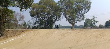 Plot Area in  Plot at Gosainganj – for Sale
