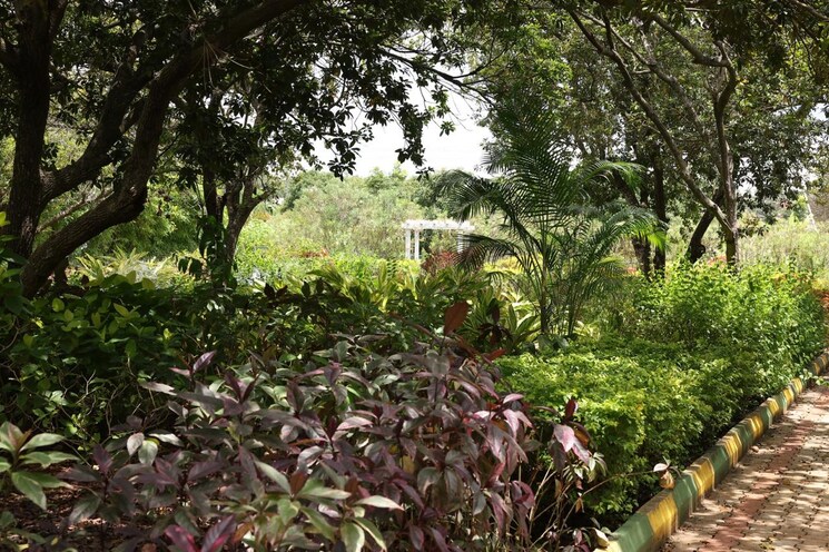 Garden, kaggalipura  1200 Sq.Ft. Plot In Kaggalipura Bangalore 8292600