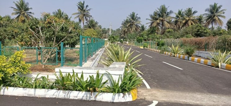 Exterior View, kaggalipura  1200 Sq.Yd. Plot In Kaggalipura Bangalore 8292637