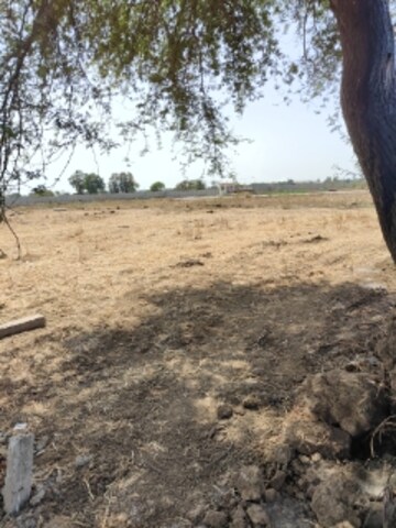 Plot Area in  Plot at Dhamtari Road – for Sale