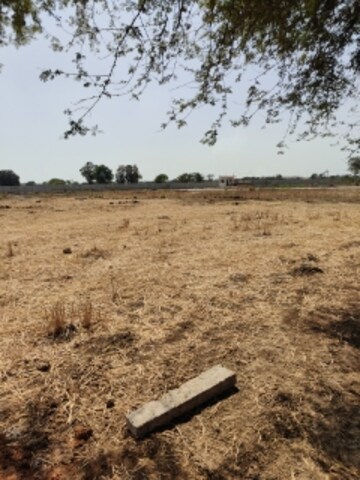  Plot For Sale in Dhamtari Road