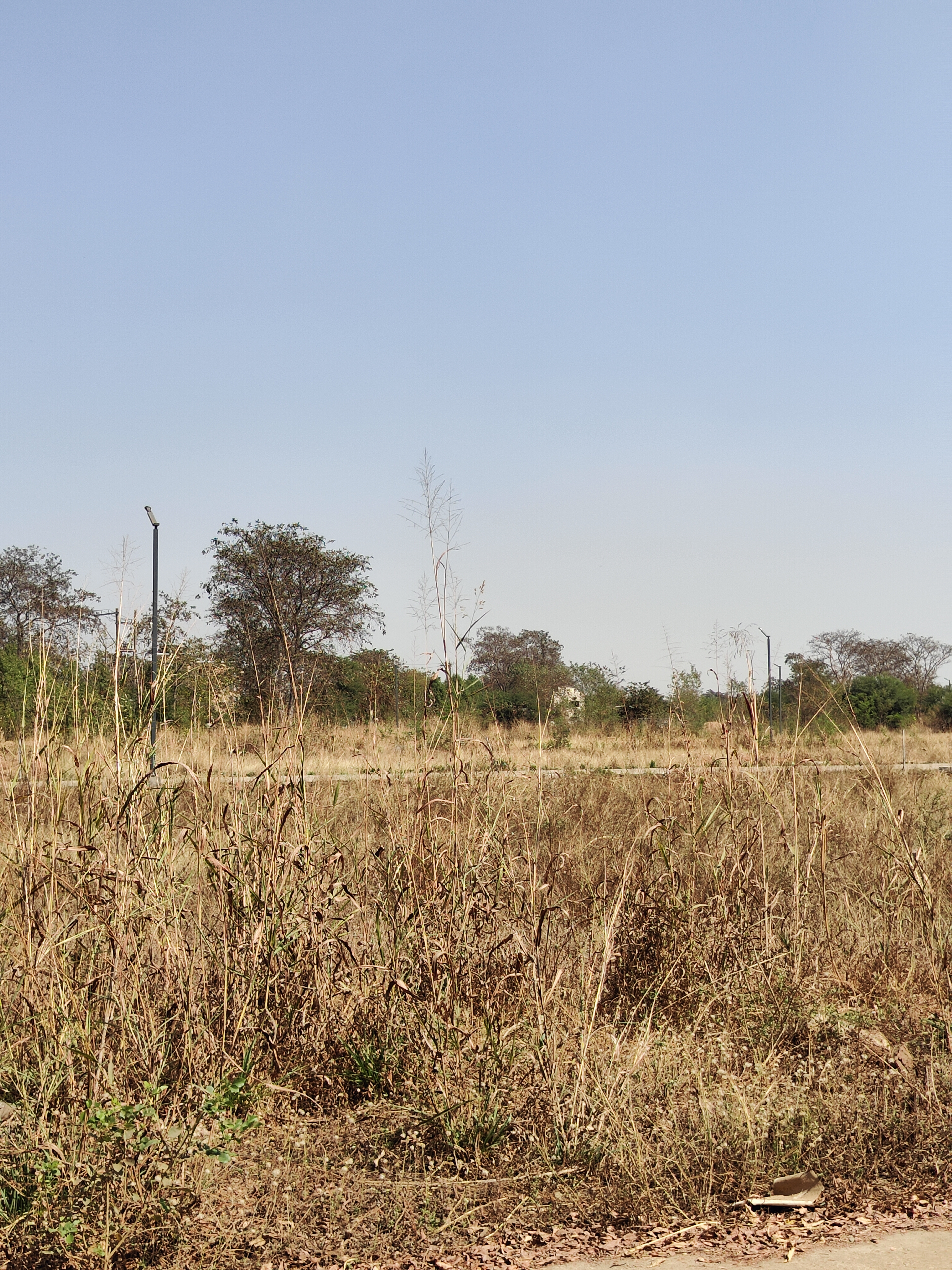 Plot For Sale in Kalpvriksh Resort And Vil