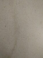 3 BHK + Study Room 2200 Sq.Ft. Villa in Venice City