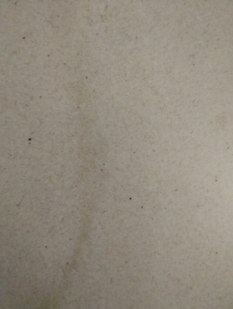 3 BHK + Study Room Villa For Sale in Venice City