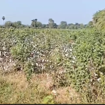 Plot Area in  Land at Madhapur – for Sale