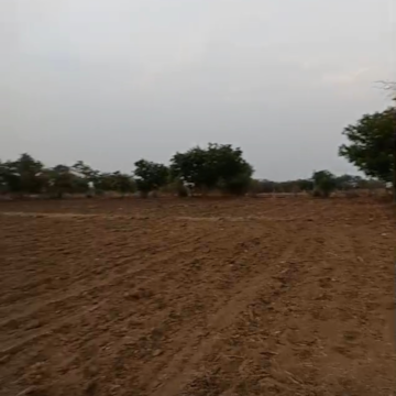 Commercial Land 5 Acre For Resale in Madhapur Hyderabad  8293469