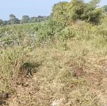 Plot Area in  Land at Madhapur – for Sale