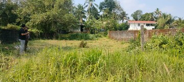 Plot Area in  Land at Kuttanellur – for Sale