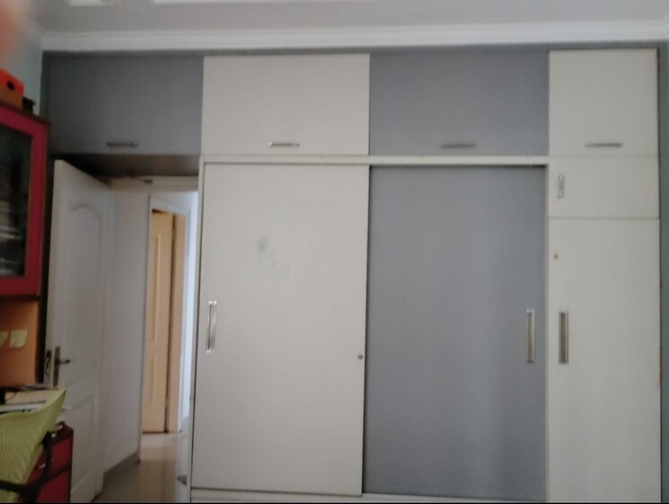 undefined, dlf-city-phase-v 3.5 Bedroom 270 Sq.Yd. Builder Floor In Dlf Phase V Gurgaon 8293942