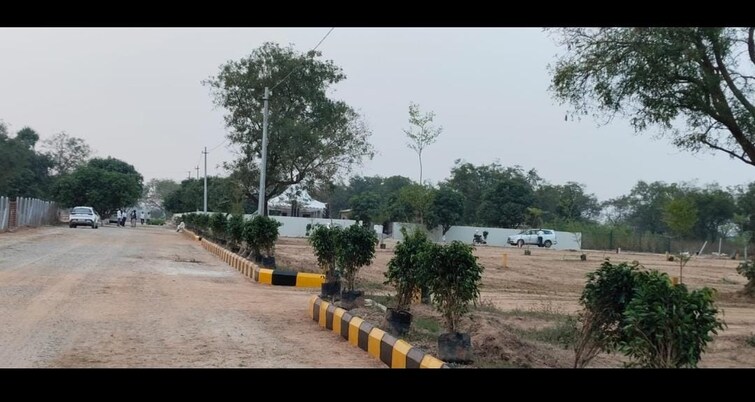 Cover Image, shankarpalli  183 Sq.Yd. Plot In Shankarpalli Hyderabad 8294040