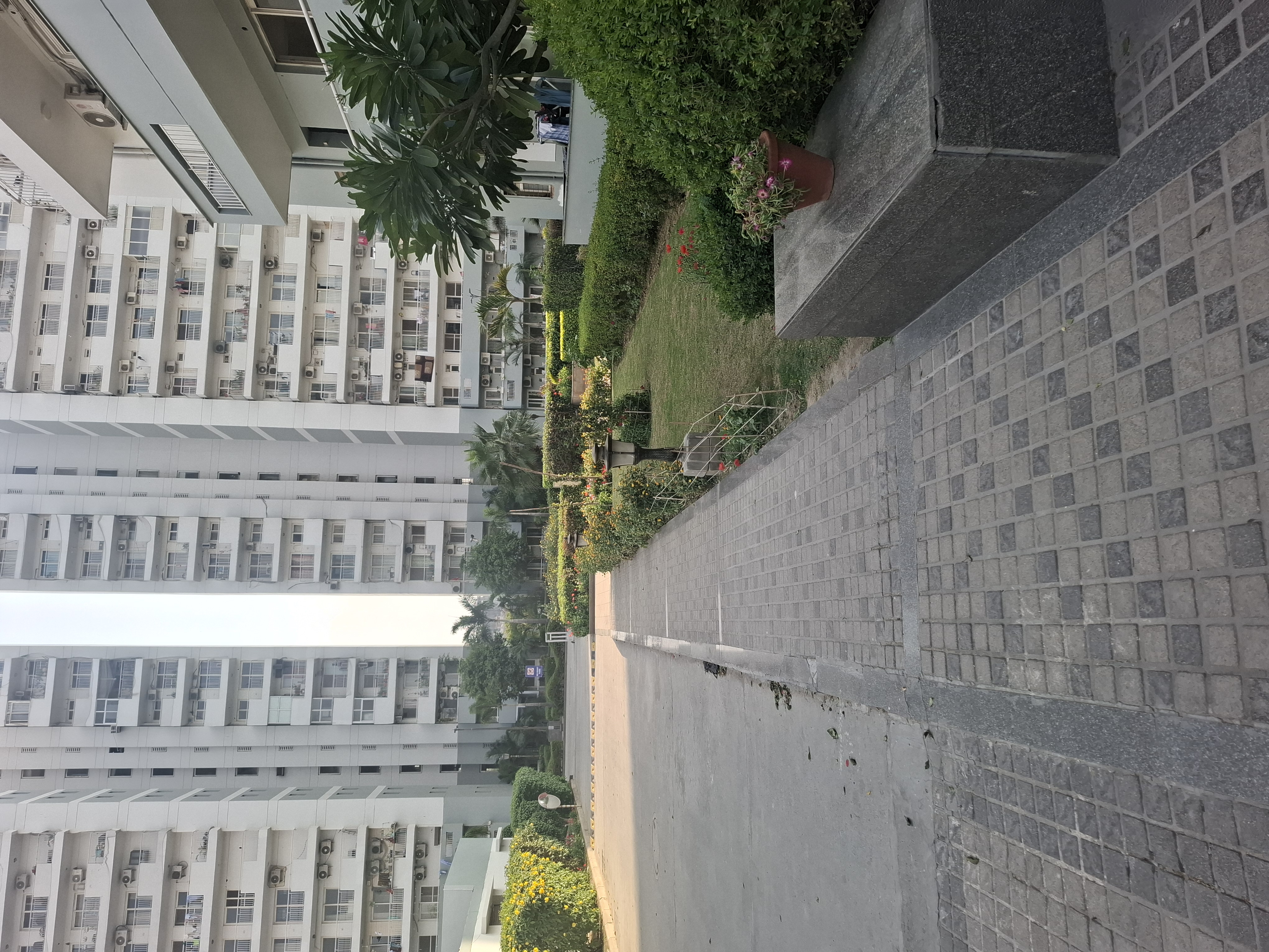3 BHK Apartment For Sale in CHD Avenue 71