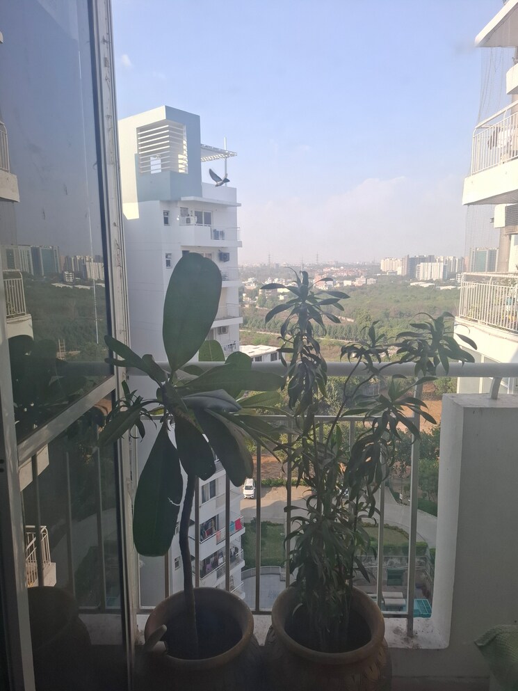 Gym, chd-avenue-71 3.5 Bedroom 1802 Sq.Ft. Apartment In Sector 71 Gurgaon 8294295