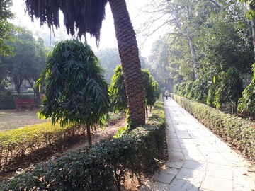 2 BHK Builder Floor – Garden View at Greater Kailash I - for Rent