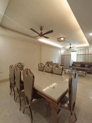 Team Area in 3 BHK Builder Floor at Pamposh Enclave – for Rent