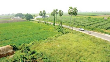 Plot Area in  Plot at Sector 20 Yamuna Expressway – for Sale