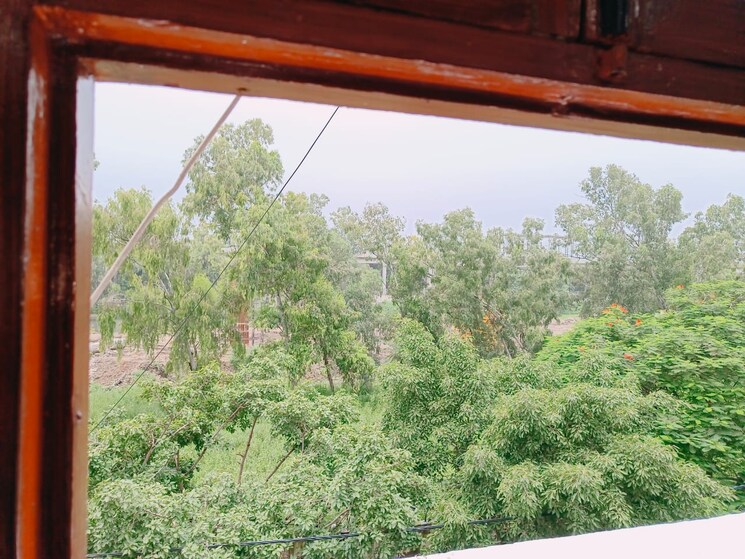 Balcony, shaheen bagh 2 Bedroom 75 Sq.Yd. Apartment In Shaheen Bagh Delhi 8295366